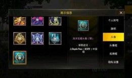 国际服赛季爆料最新消息,全新内容与改动前瞻