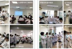 医科大学爆料事件最新,揭开校园腐败与学术不端黑幕