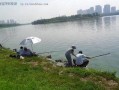 深圳钓鱼最新爆料,揭秘热门钓点与独家技巧分享